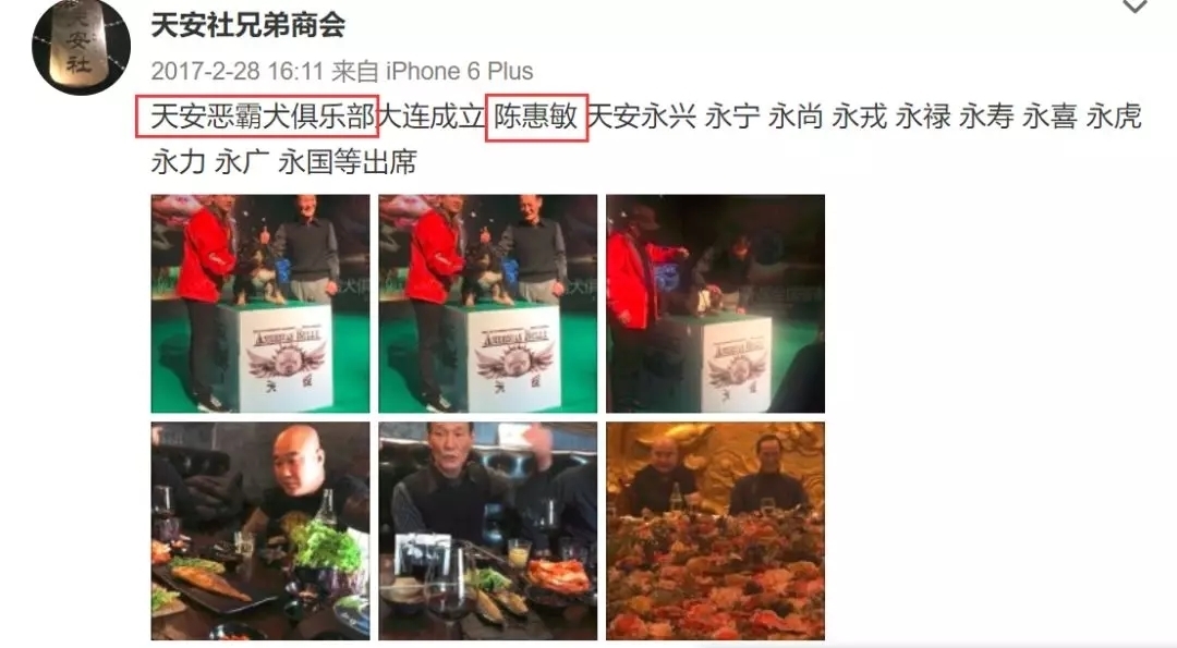 装x反被杀,社会哥牵出的天安社是个什么神秘组织?