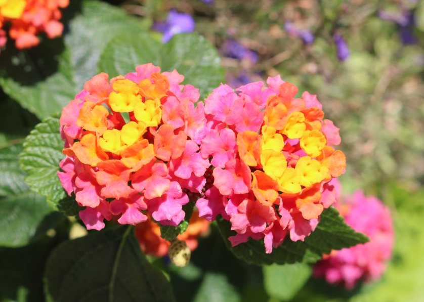 2018\/05\/30 上证暴跌是机会吗?