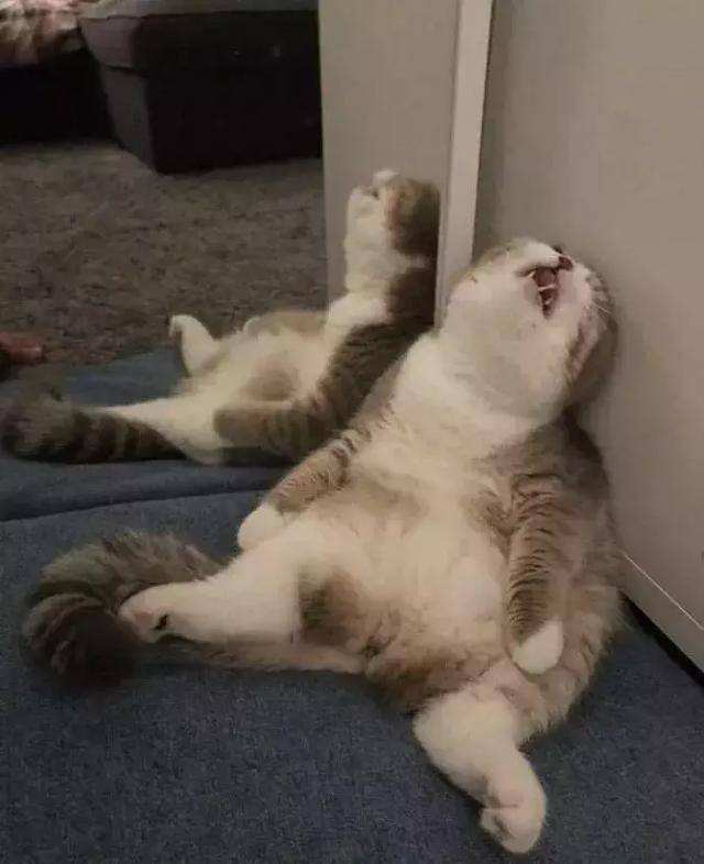 指数突破了怪累的歇歇