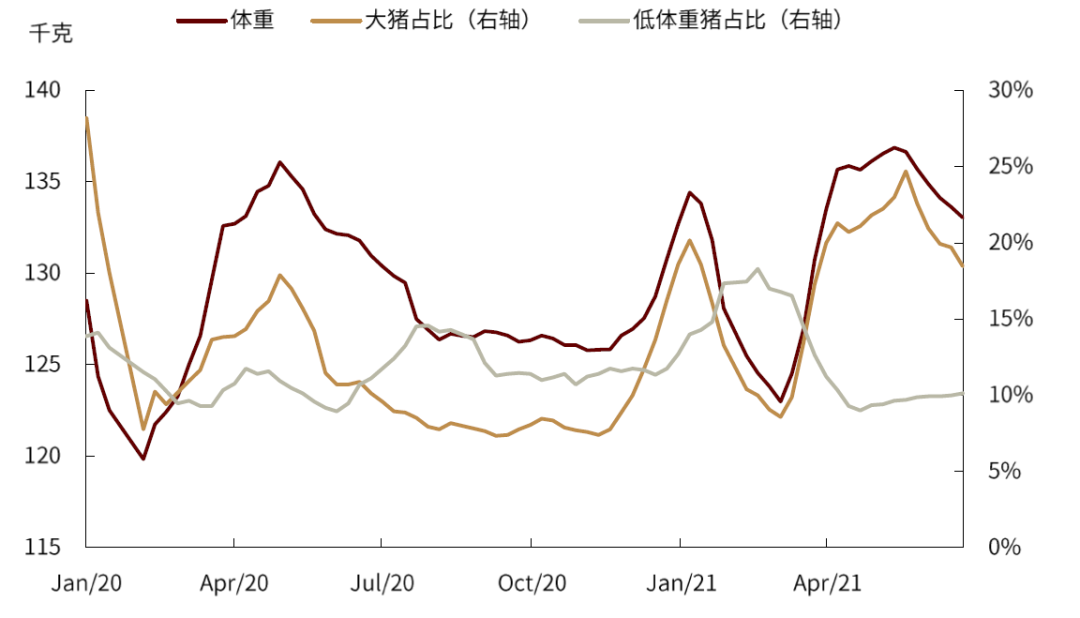 图表:全国生猪出栏均重与大体重猪出栏占比