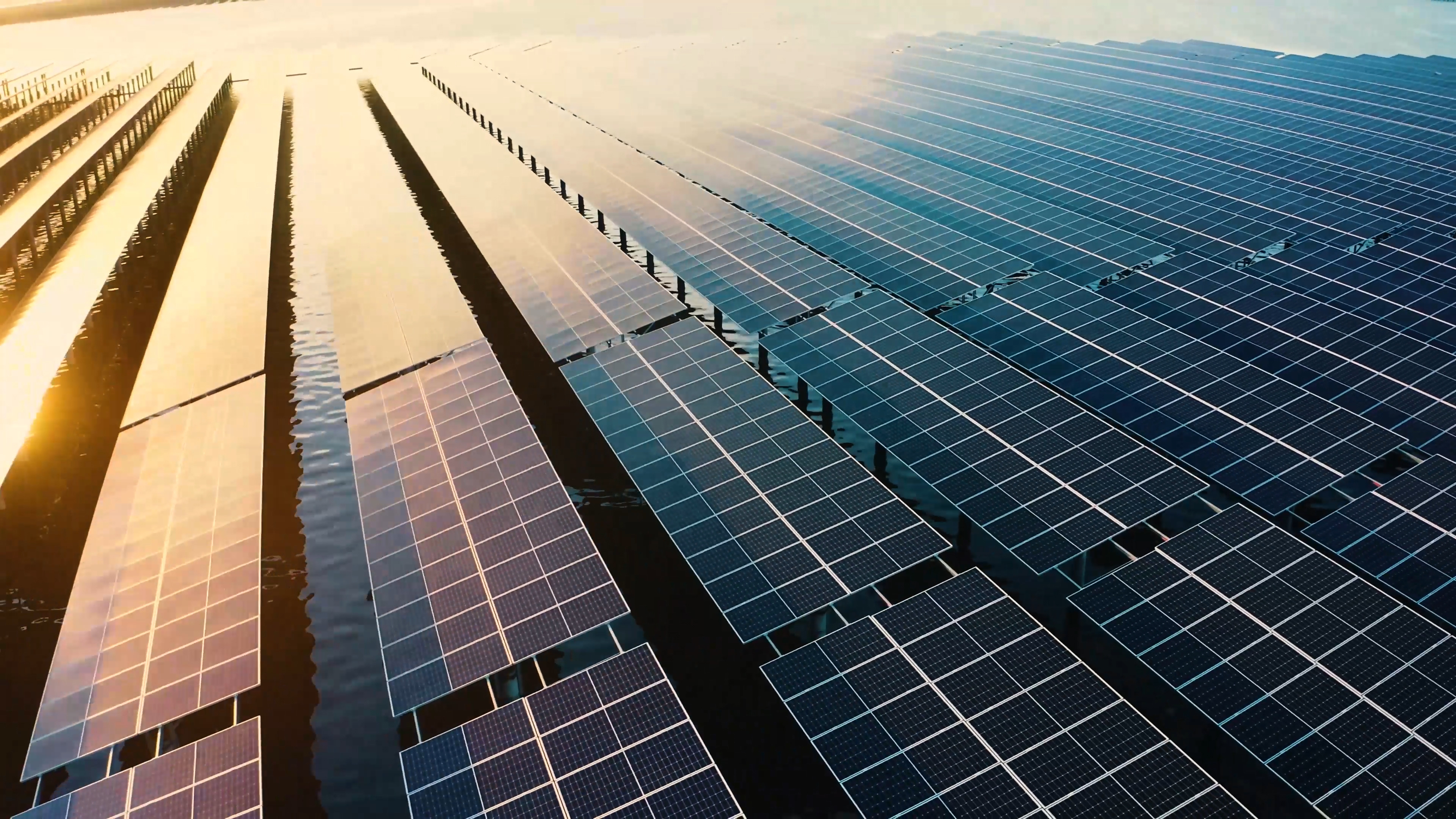 品牌号召力的同时,也侧面体现出了当前消费者对于新能源汽车的喜爱