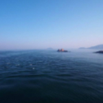 港漂公司